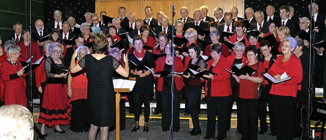 Gemeinsam immer fr ein tolles Konzert...Mnnerchor des Haltinger Gesangvereins  | Foto: Anita Werner