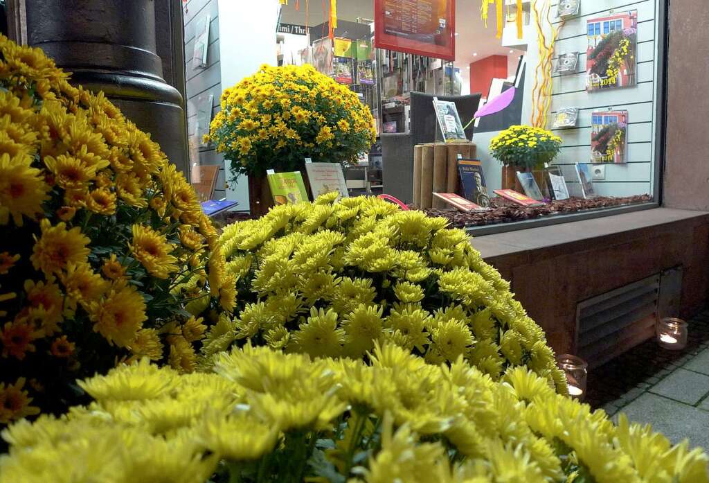 Ob bei Tag, ob bei Nacht: Die Blumenschau in Lahr zeigte sich in den vergangenen Tagen in einem guten Licht.