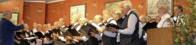 Im Gesang vereint: Die Mnnerchre aus... ihrem Auftritt in der Schwanenstadt.   | Foto: Paul Berger