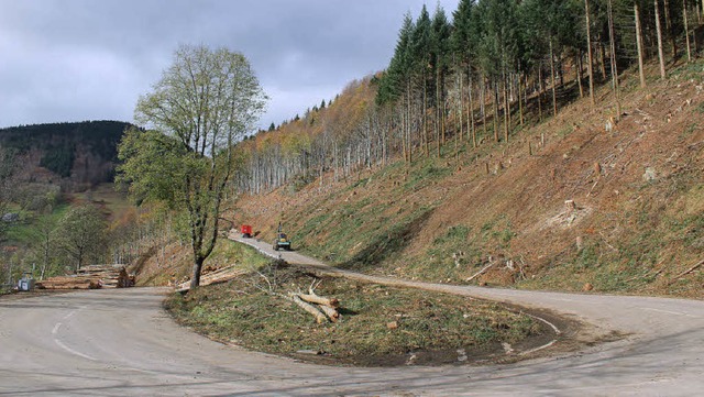 Ergebnis des Holzhiebs an der L 126 ob...Kurve beim Wasserfallkiosk aus gesehen  | Foto: Hermann Jacob