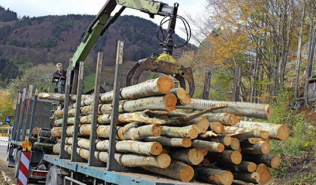 Mit tglich  15 bis 16 Lkw-Fuhren wurd...erg geschlagene Holz abtransportiert.   | Foto: Hermann Jacob