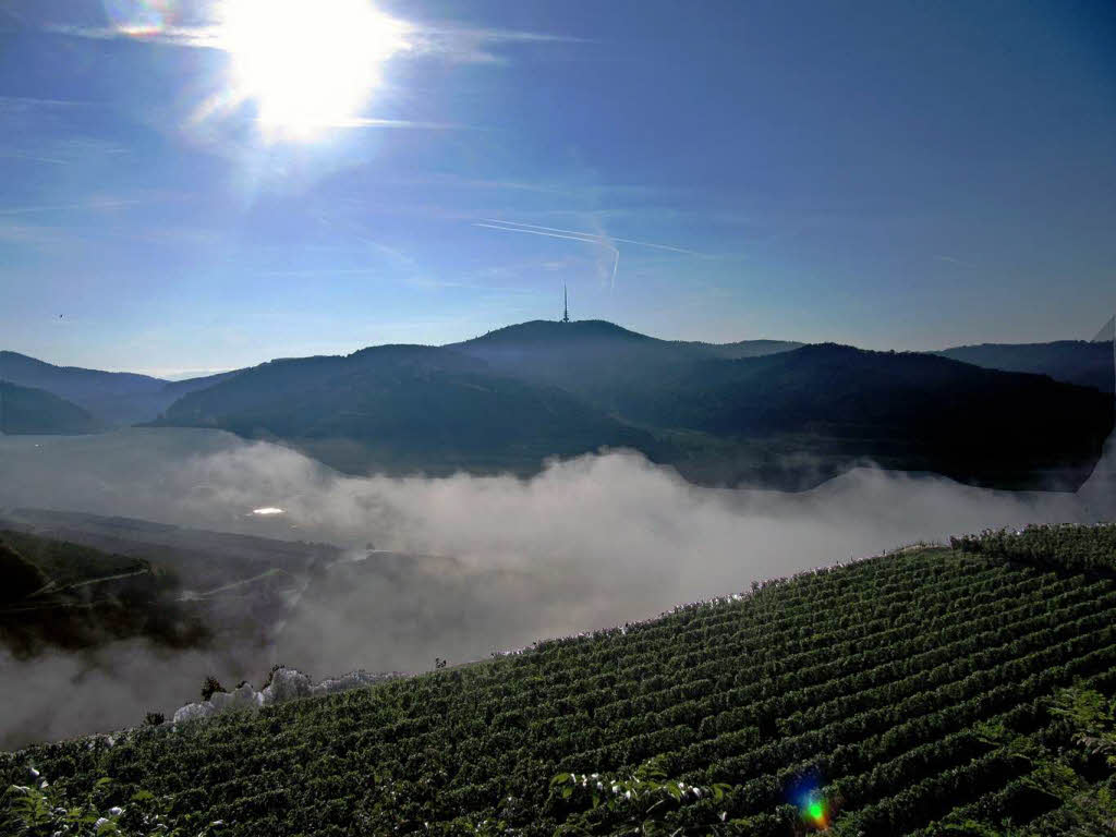 Herbstlicher Blick von der Mondhalde in Oberrotweil