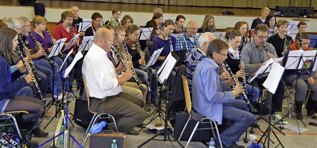 Orchester des Vereins &quot;Benefiz  Musik und Kultur fr andere&quot;  | Foto: Sylvia-Karina Jahn