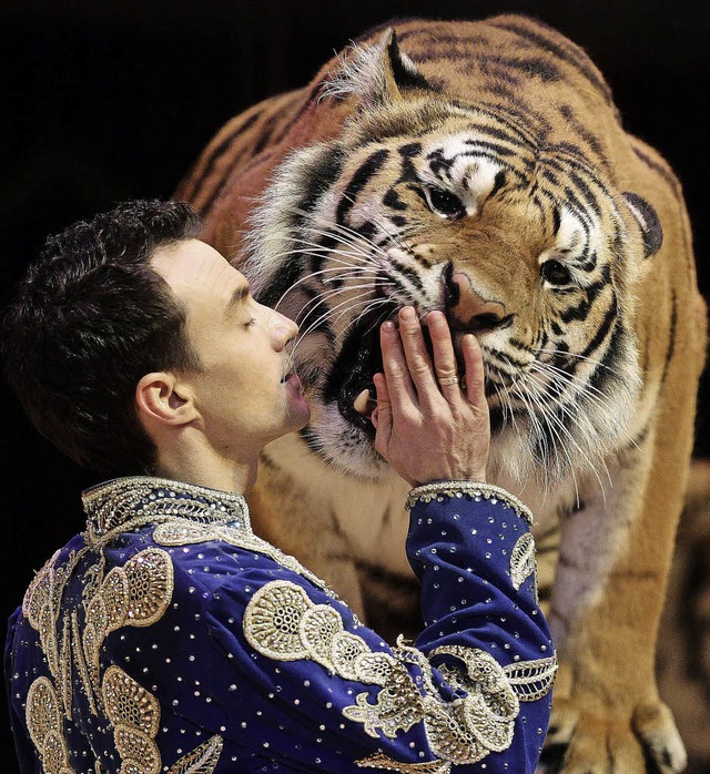 Nicht jeder wagt solche Zrtlichkeiten...ian Walliser bei seiner Tigerdressur.   | Foto: ZVG