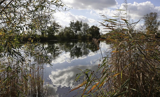 Das Gebiet beim Haasesee birgt offenbar guten Kies.   | Foto: christoph breithaupt