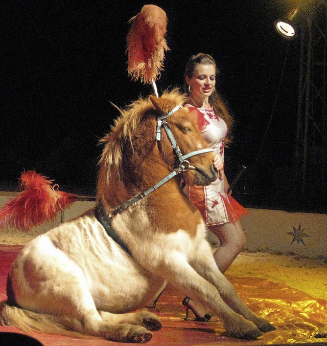Pony-Dressur im Zirkuszelt  | Foto: Marco Kupfer