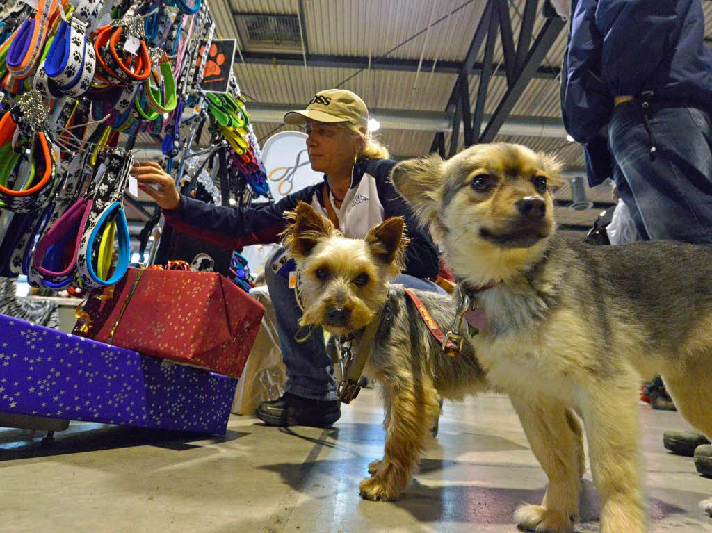 Fotos Messe &quot;Mein Hund und ich&quot; Freiburg Fotogalerien Badische