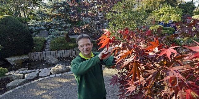 Vandalismus Macht Dem Japanischen Garten Im Seepark Zu Schaffen