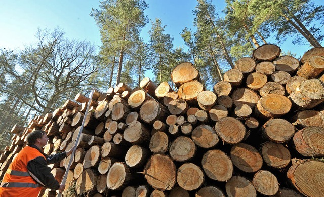 Der Wald soll auch nchstes Jahr einen berschuss bringen   | Foto: dpa