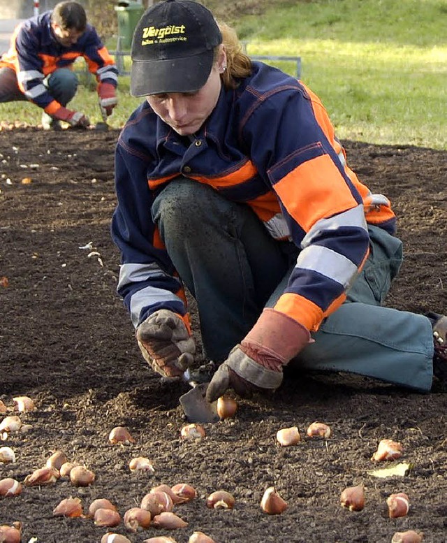 Wer im Herbst pflanzt, hat im Frhjahr Blumen.  | Foto: Archivfoto: Pinto