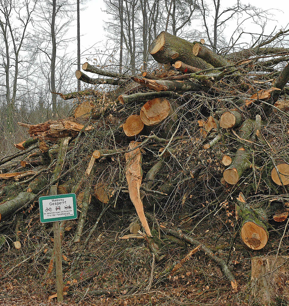 Hirner dämpft Erwartung Rheinfelden Badische Zeitung