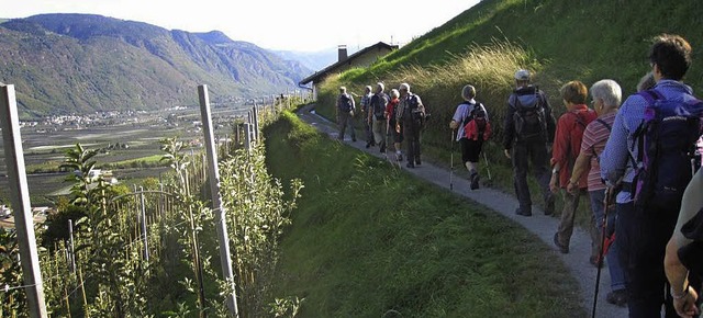 Auf dem  Meraner Waalweg: Die Waldkircher im Gnsemarsch.   | Foto: Ludwig Neub