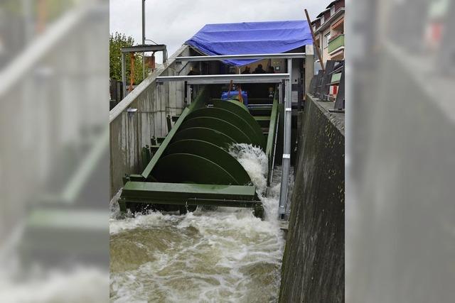 Schnecke gewinnt Strom am Kanal