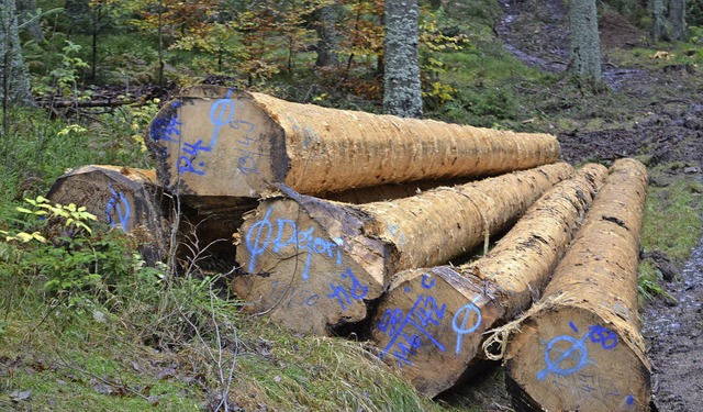 Das Holz aus dem  Gemeindewald bringt betrchtliche Einnahmen.  | Foto: Liane Schilling