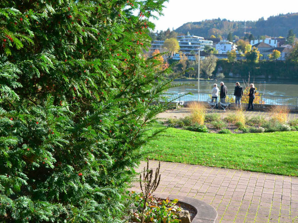 Impressionen aus dem Stadtpark