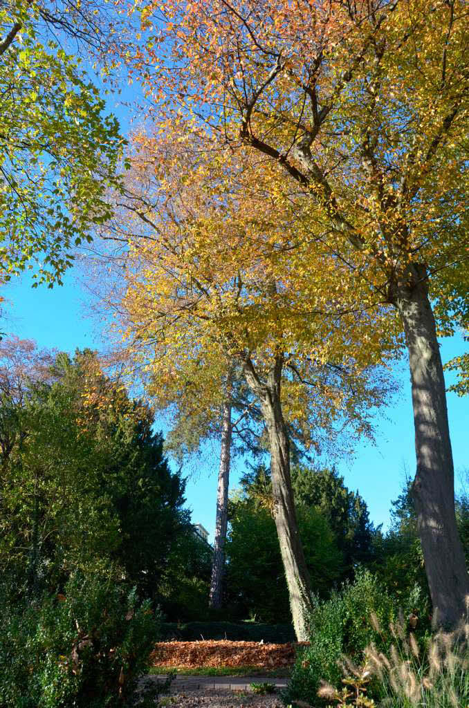 Impressionen aus dem Stadtpark