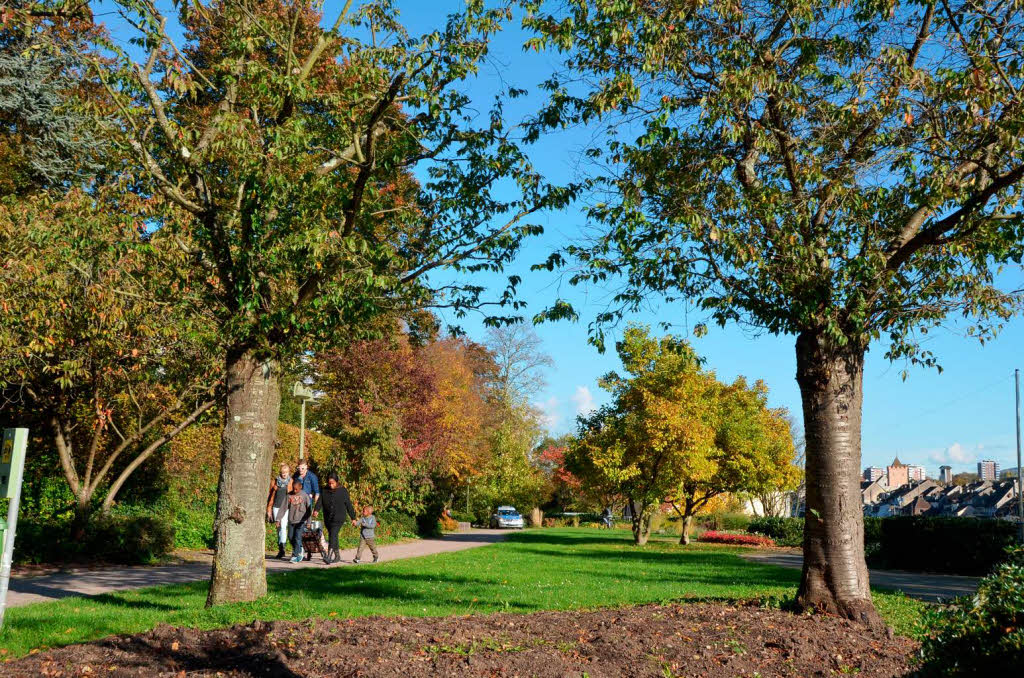 Impressionen aus dem Stadtpark