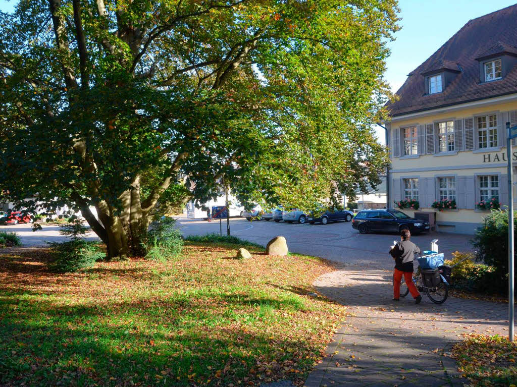 Impressionen aus dem Stadtpark