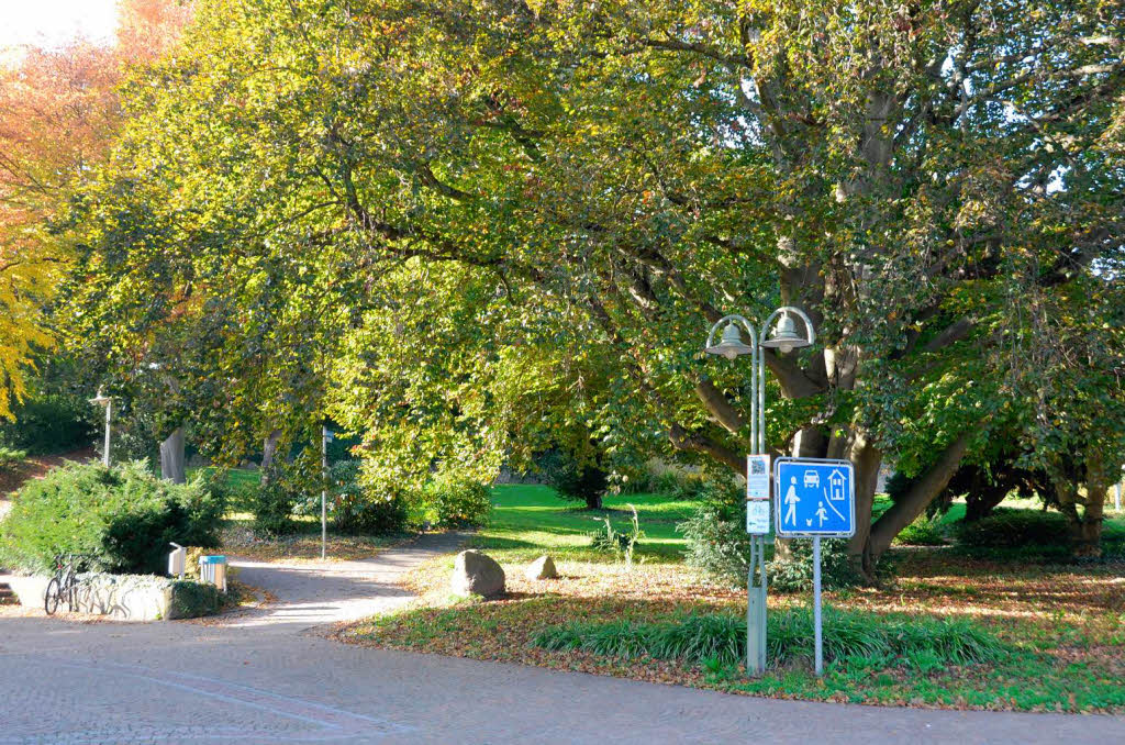 Impressionen aus dem Stadtpark