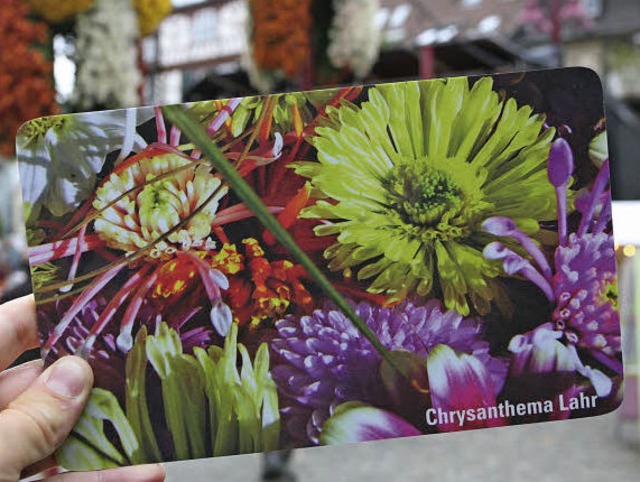 Objekt der Begierde: das Chrysanthemenbrettle   | Foto: B. HENNING