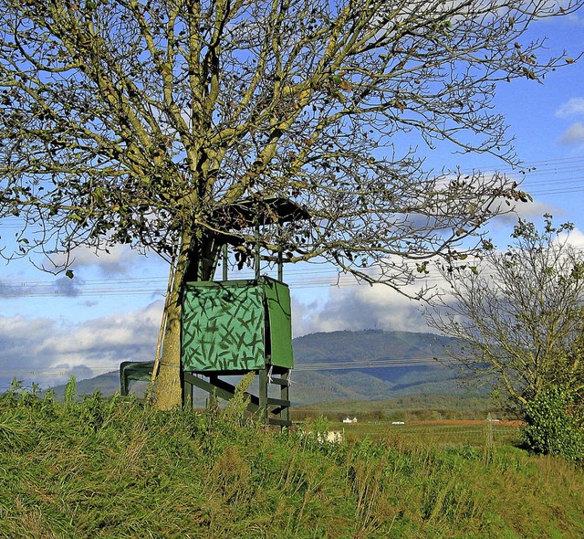 Jgerstand  mit Blauen im Hintergrund zwische Bad Bellingen und Hertingen  | Foto: Jutta Schtz