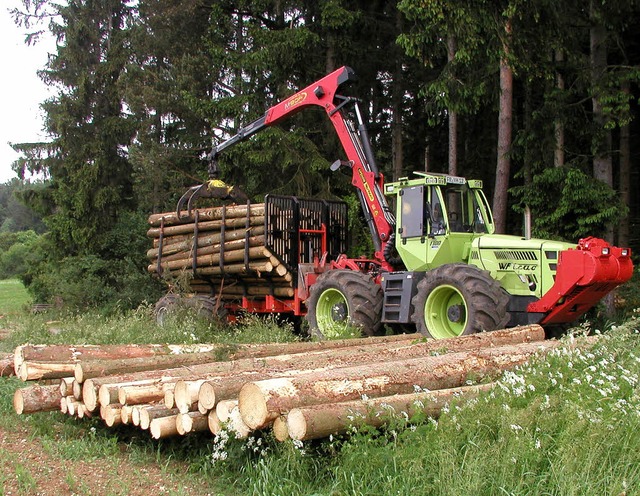 Ein Drittel des geschlagenen Holzes wird mit Maschinen aufbereitet.   | Foto: Privat