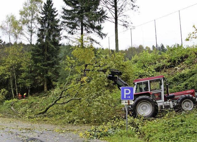 Dem Wald rings um den Platz der Sportf...n, mehrere Traktoren waren im Einsatz.  | Foto: Rolf.-Dieter Kanmacher