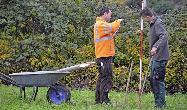 Vorbereitet wurde gestern die Baumpfla..., Samstag, in Tannenkirch stattfindet.  | Foto: Markus Maier