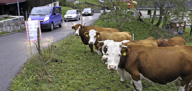 An der Umleitungsstrecke wegen des Tod...bewohner mit Interesse das Geschehen.   | Foto: Hermann Jacob