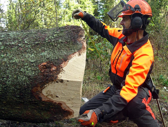 &#8222;Jeder Baum fllt anders&#8220;: Sicherheitsbeauftragter Drescher    | Foto: Philipp