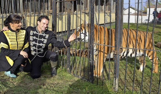 Sandra Frank und Christian Walliser vo...#8220; mit Tiger Kumal am Freigehege.   | Foto: Nikolaus Bayer