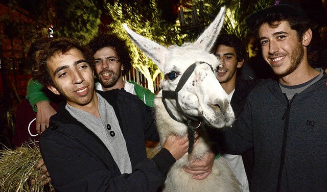 Die fnf Trinkkumpane und ihr Entfhrungsopfer, Lama Serge  | Foto: dpa