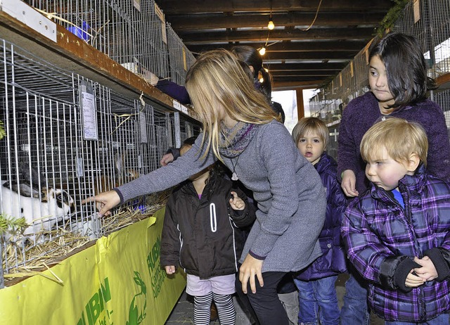 Die Kaninchen hinter Gittern haben auch die Kinder magisch an-gezogen.  | Foto: Dieter Fleig