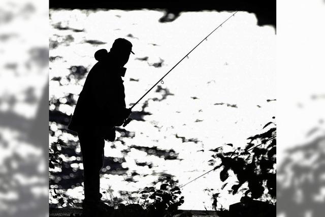 Die Fischreiher waren kein Problem