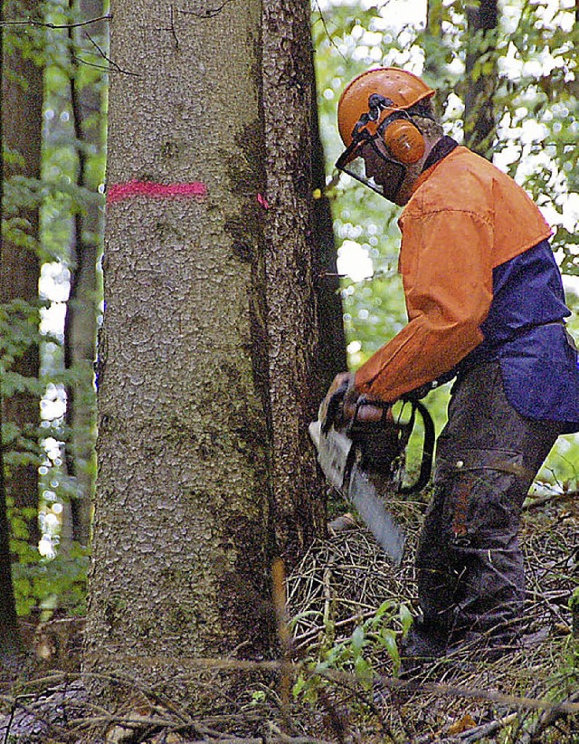 Macht zwar Arbeit, bringt aber auch Geld: Holz.   | Foto: Andrea Steinhart