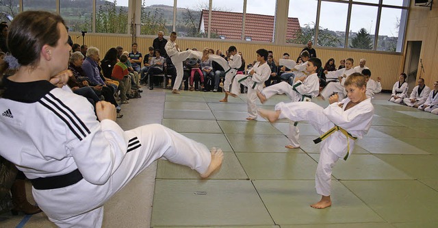 Spa am Budo-Sport lie sich beim &#82... in Binzen beobachten. Foto: Ines Bode  | Foto: Ines Bode