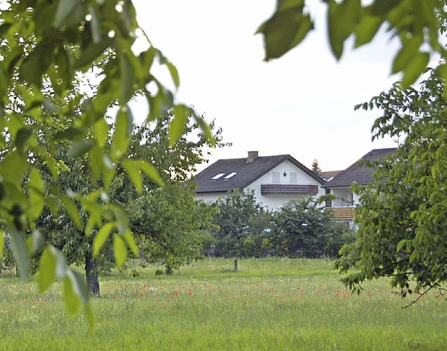 Am sdlichen Ortsrand Eimeldingens sol... Samstag Obstbume gepflanzt werden.    | Foto: vl