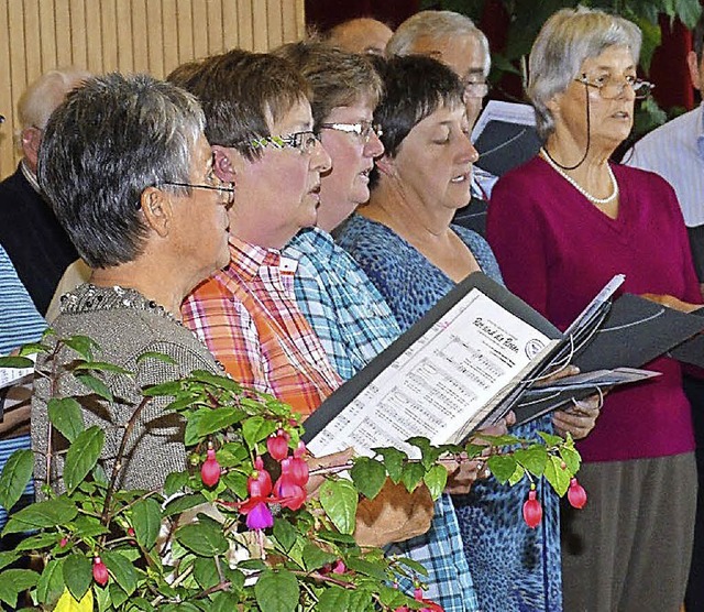 Mitglieder des Gesangvereins Frohsinn beim jngsten Auftritt in Schlchtenhaus.   | Foto: Georg Diehl