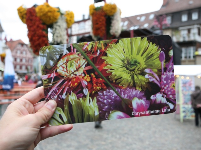 Chrysanthema zieht auch  Hessen und Bayern an  | Foto: Bastian Henning