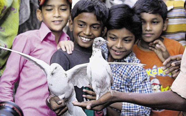 Indische Jungen bestaunen zwei weie Tauben.   | Foto: Frank Becker