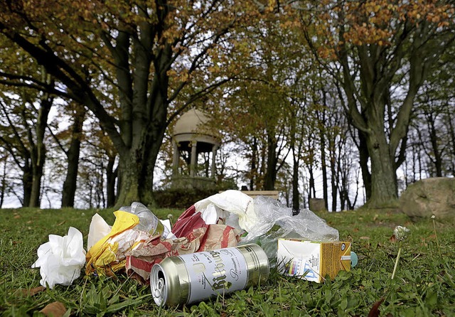 Stein des Anstoes: Mll auf dem Schutterlindenberg.   | Foto: Christoph Breithaupt