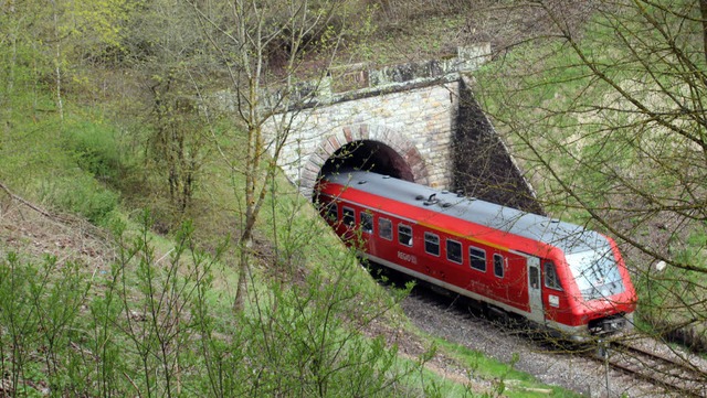 Die Elektrifizierung der stlichen Hl...ist auch im Dgginger Tunnel mglich.   | Foto: Christa Maier