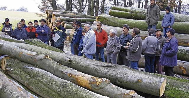 Von einer nachhaltigen Waldbewirtschaf...gt eine Holzversteigerung in Hsingen.  | Foto: Vera Winter