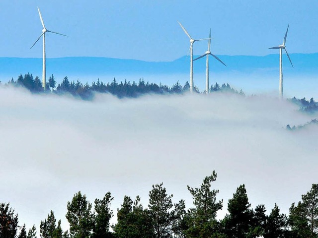 Wird die Geschwindigkeit, mit der der ...n treibt, im Schwarzwald berschtzt?   | Foto: dpa