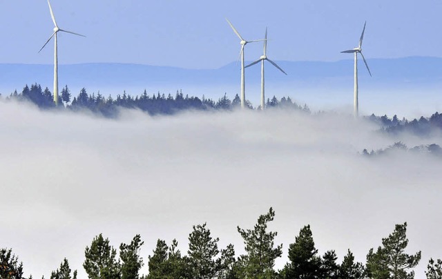 Wird die Geschwindigkeit, mit der der ...n treibt, im Schwarzwald berschtzt?   | Foto: dpa