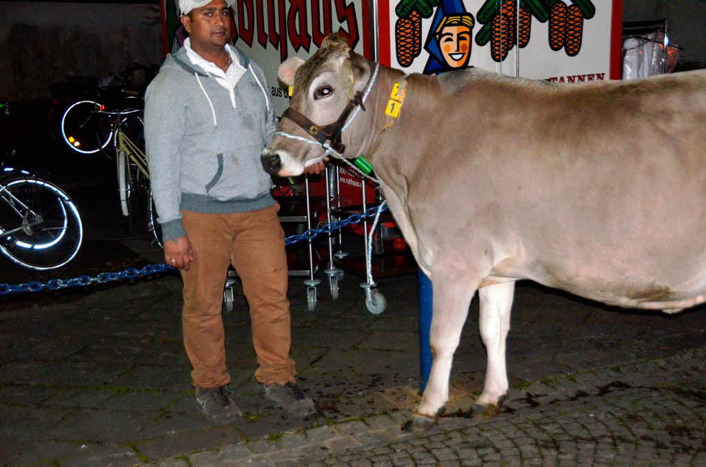 Ein demonstrierender Landwirt hatte ein Kuh mitgebracht – ein Tier namens Lrche.