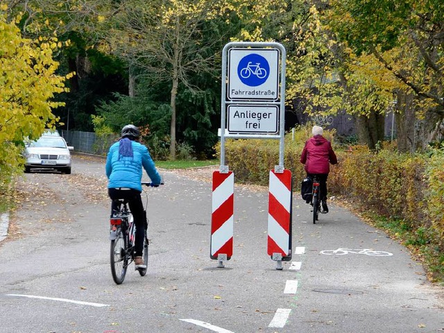 Die erste Lrracher Fahrradstrae beim Rosenfelspark  | Foto: Julia Dreier