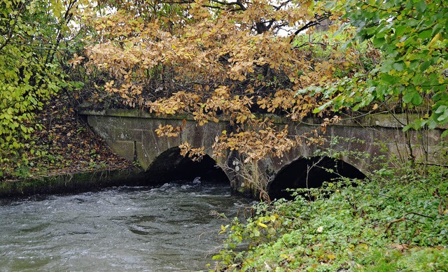 An der Ausleitung des Wuhrkanals bei K... gewerblich genutzten Kanal gelangen.   | Foto: Gerhard Walser