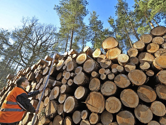 Brennholz fein suberlich aufgestapelt.   | Foto: dpa