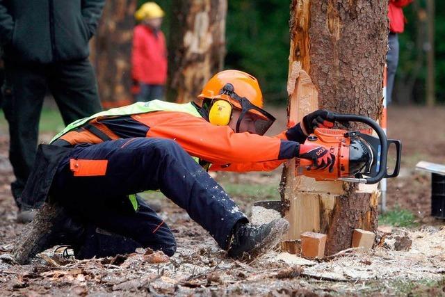 Holz als kologisches Kapitalanlageobjekt